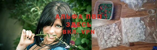 spice Горняк