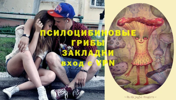 стафф Горнозаводск