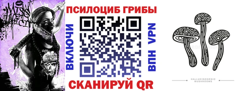 Купить закладки  Рошаль  Галлюциногенные грибы Psilocybe 